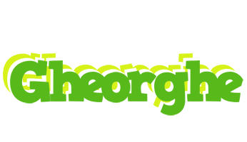 Gheorghe picnic logo