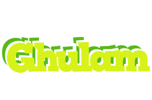 Ghulam citrus logo