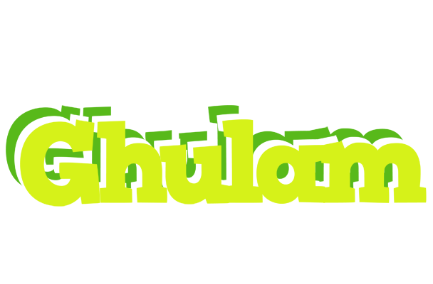 Ghulam citrus logo