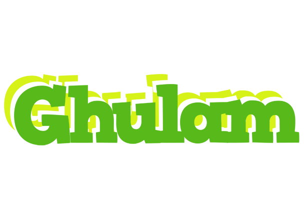 Ghulam picnic logo