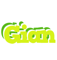 Gian citrus logo