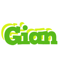 Gian picnic logo