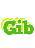 Gib picnic logo