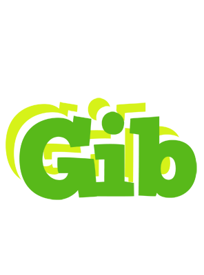 Gib picnic logo