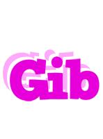 Gib rumba logo