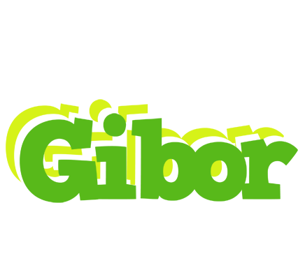 Gibor picnic logo
