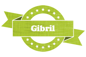 Gibril change logo