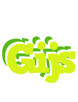 Gijs citrus logo