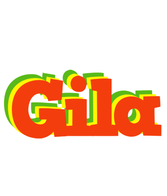 Gila bbq logo