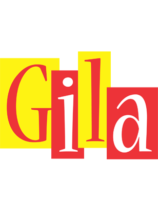 Gila errors logo