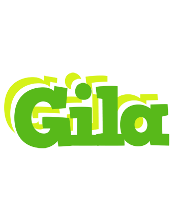 Gila picnic logo