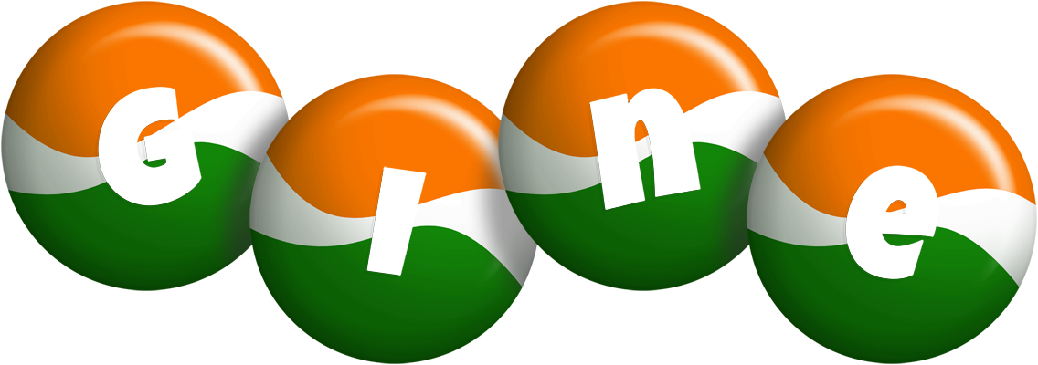 Gine india logo