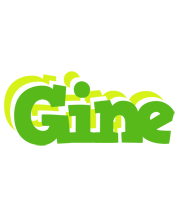 Gine picnic logo