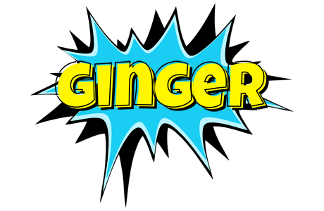 Ginger amazing logo