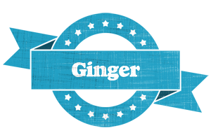 Ginger balance logo