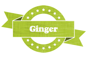 Ginger change logo