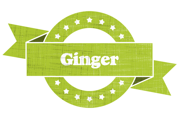 Ginger change logo