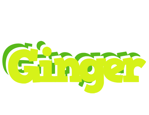 Ginger citrus logo