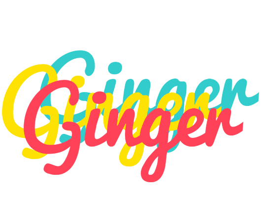 Ginger disco logo