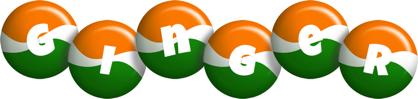 Ginger india logo