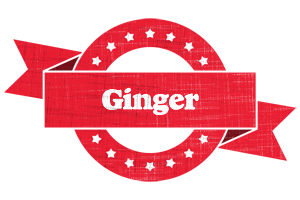 Ginger passion logo