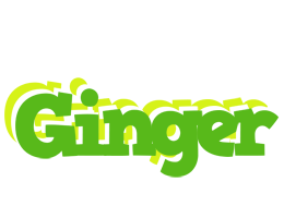 Ginger picnic logo