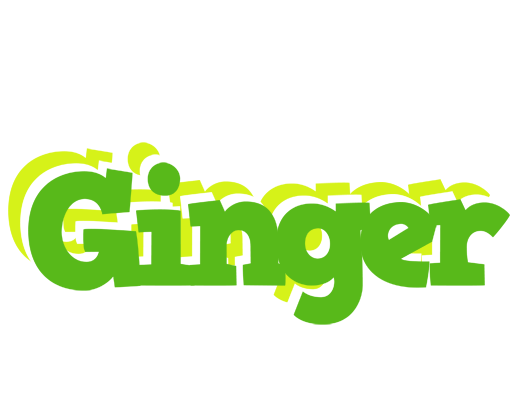 Ginger picnic logo