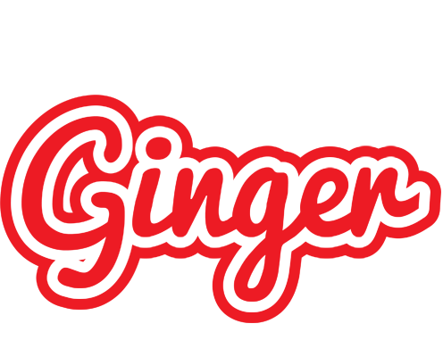 Ginger sunshine logo