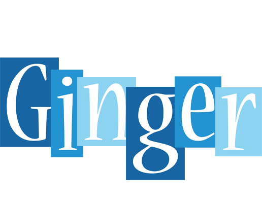 Ginger winter logo