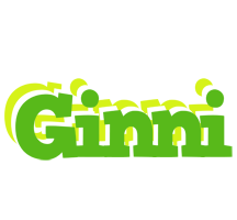 Ginni picnic logo