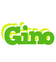 Gino picnic logo