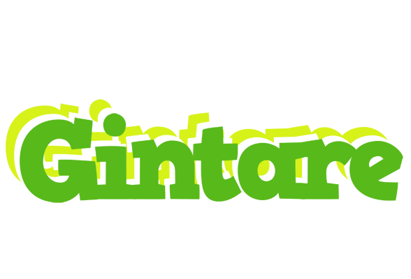 Gintare picnic logo