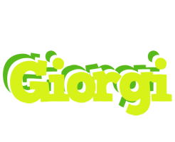 Giorgi citrus logo