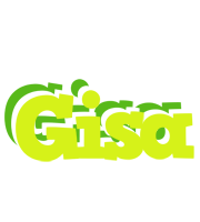 Gisa citrus logo