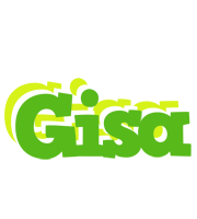 Gisa picnic logo