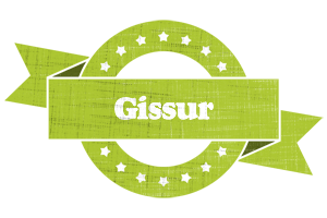 Gissur change logo
