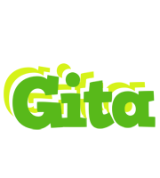 Gita picnic logo