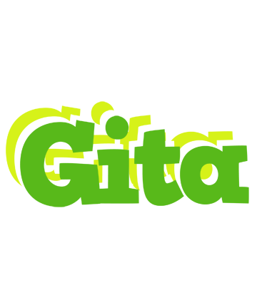 Gita picnic logo