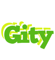 Gity picnic logo