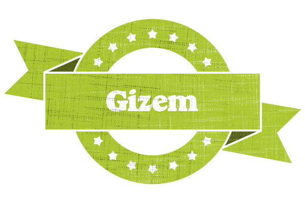 Gizem change logo