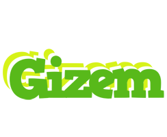 Gizem picnic logo