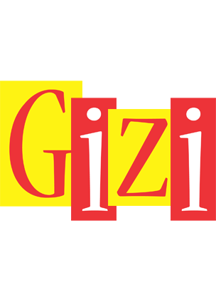 Gizi errors logo