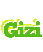 Gizi picnic logo