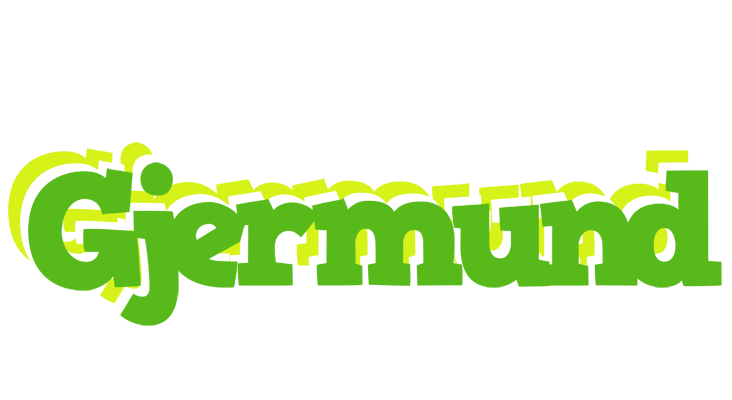Gjermund picnic logo