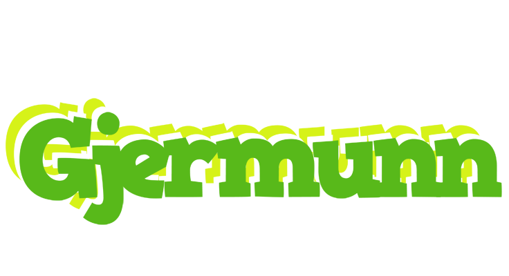 Gjermunn picnic logo