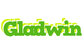 Gladwin picnic logo