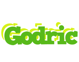 Godric picnic logo