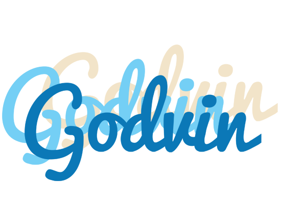 Godvin breeze logo