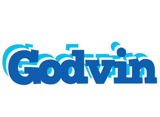 Godvin business logo