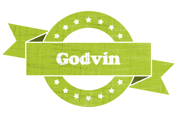 Godvin change logo